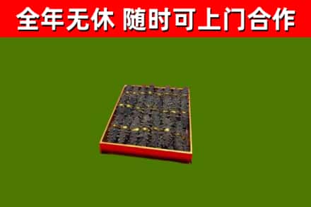 洱源回收海参